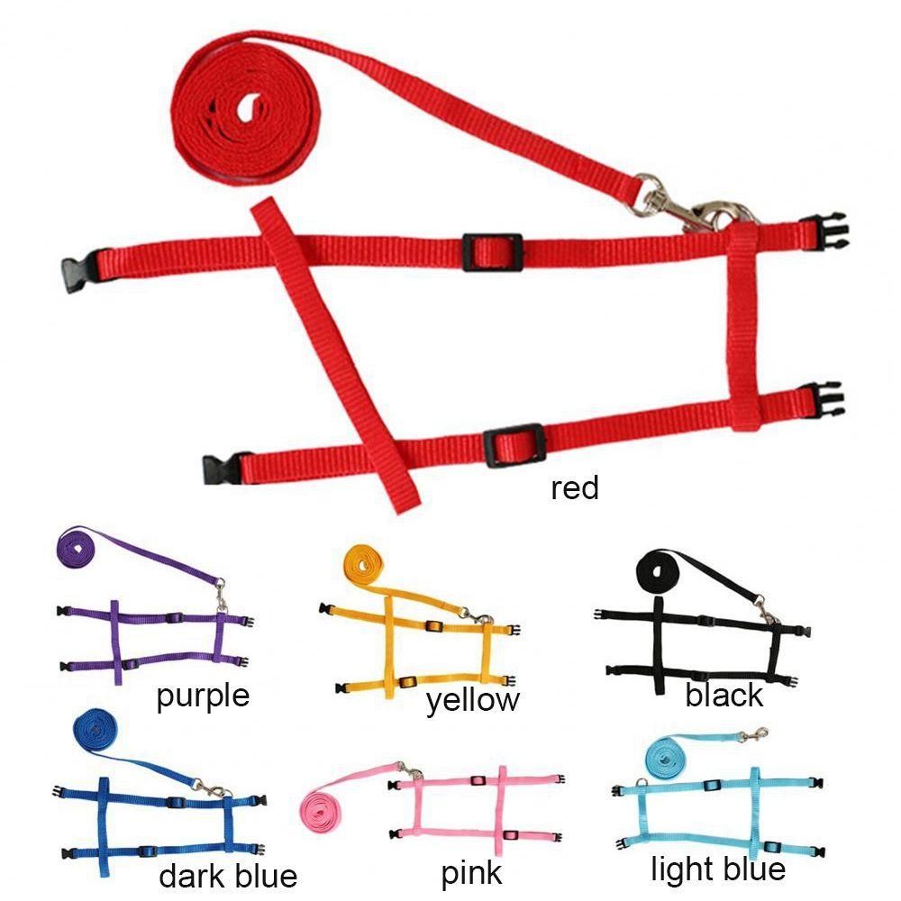 1 Dây Dắt Thỏ Đi Dạo Mềm Mại