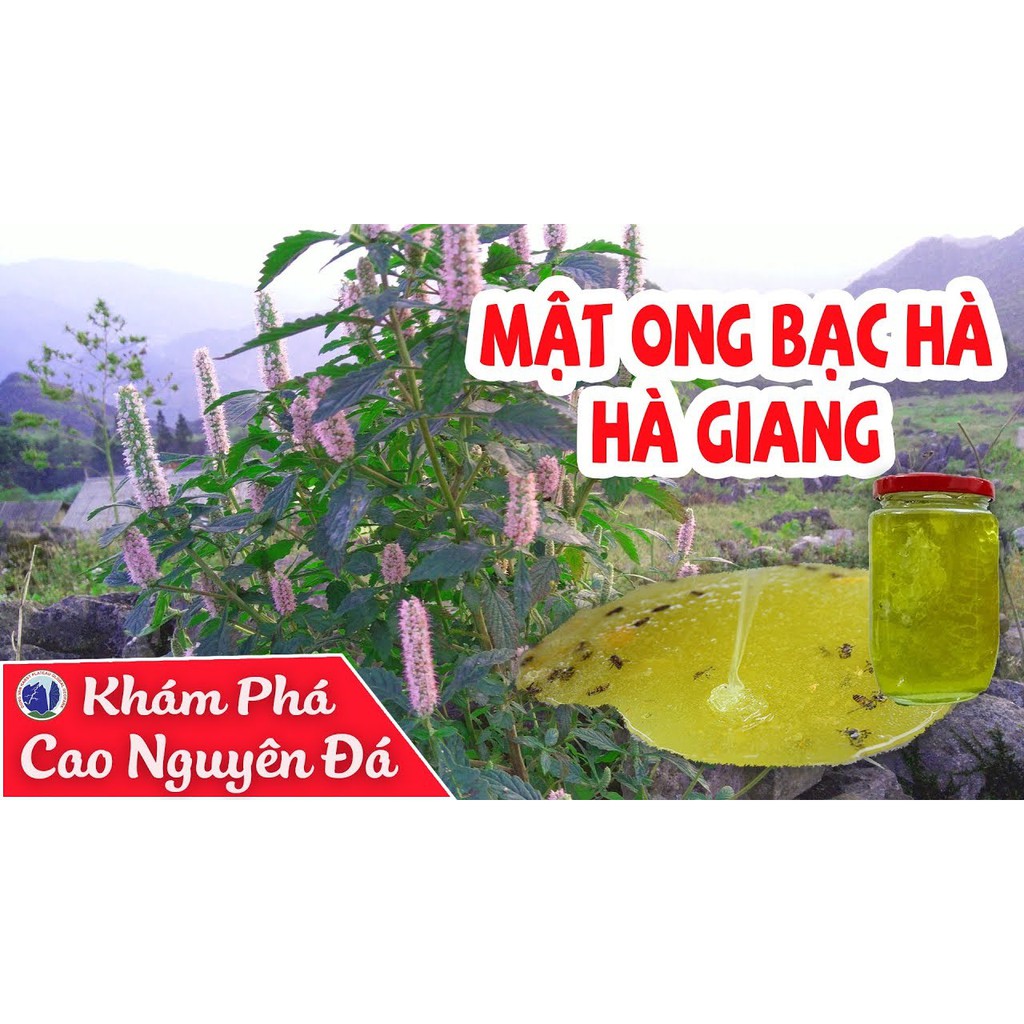 0,5 Lít mật ong Bạc hà chuẩn