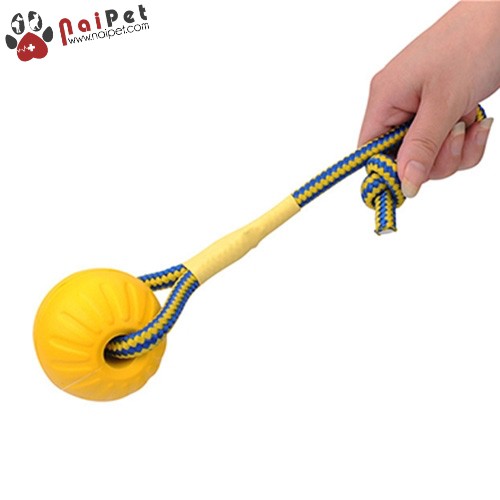 Đồ Chơi Bóng Dây Nổi Dưới Nước DCTC014