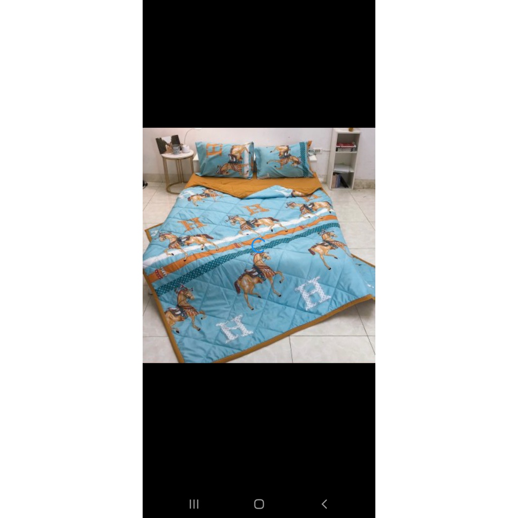 Bộ chăn hè, ga gối đũi 5 món