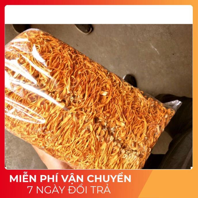 Đông trùng hạ thảo khô loại một 100g