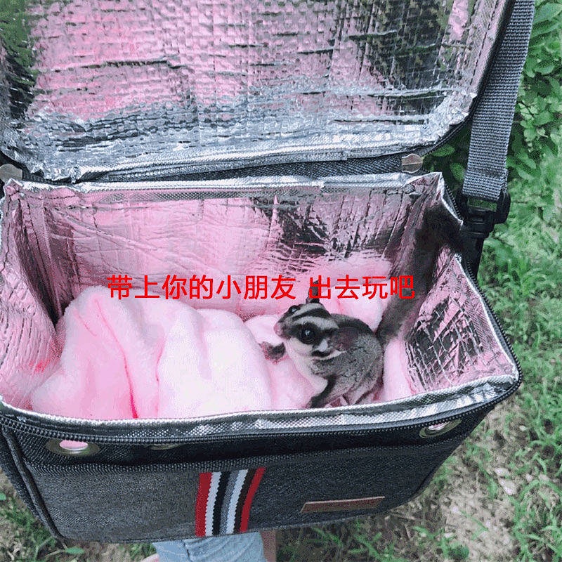 Túi đựng mang theo thú cưng sóc bay Úc/chuột Hamster/nhím và đồ ăn vặt/tá tiện lợi khi đi du lịch