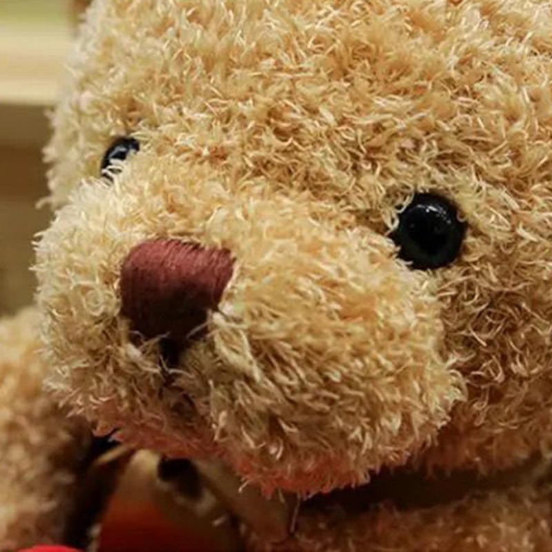 Gấu nhồi bông đáng yêu loại 30cm