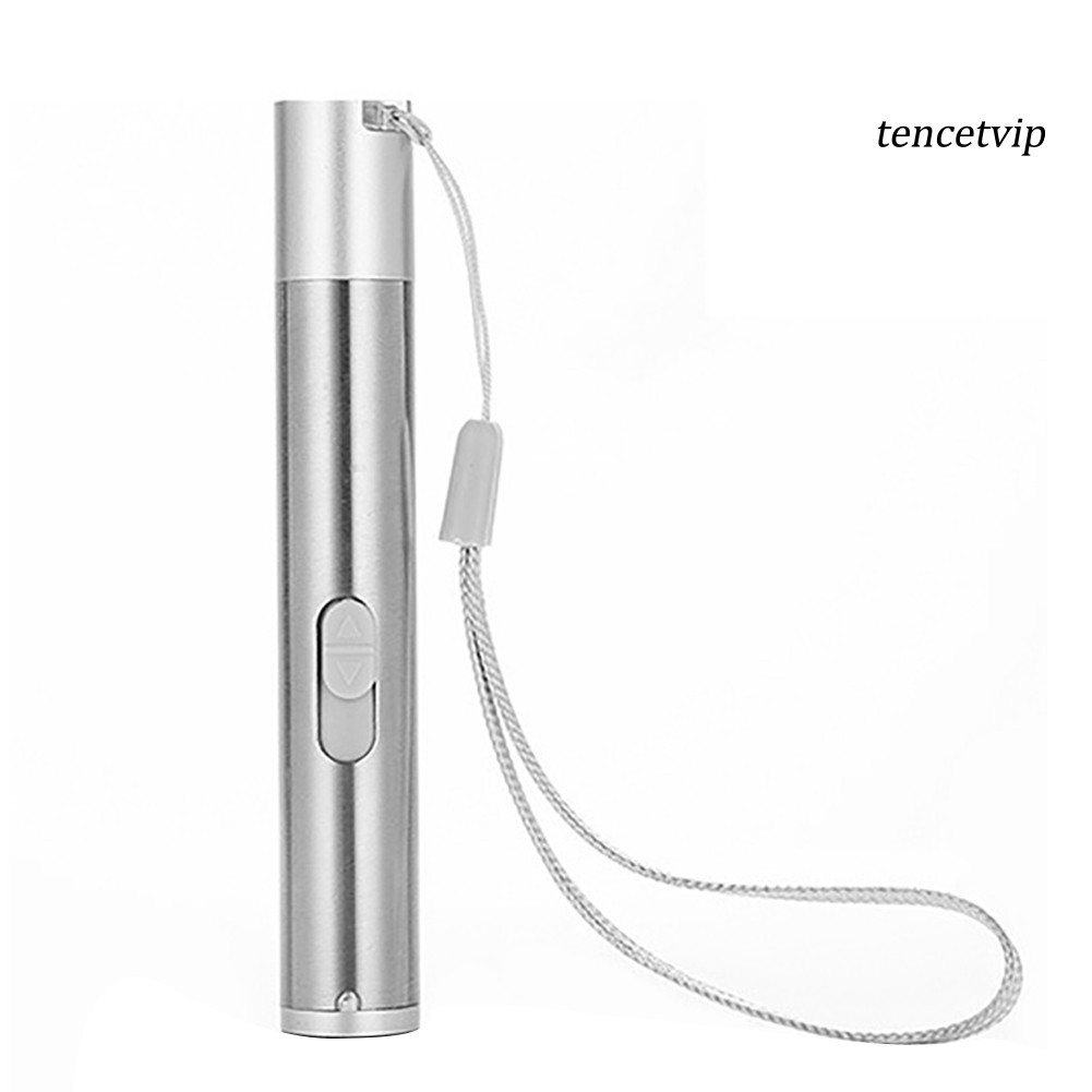 Đèn Pin Led 3 Trong 1 Có Đầu Sạc Usb Thích Hợp Để Tương Tác Với Thú Cưng
