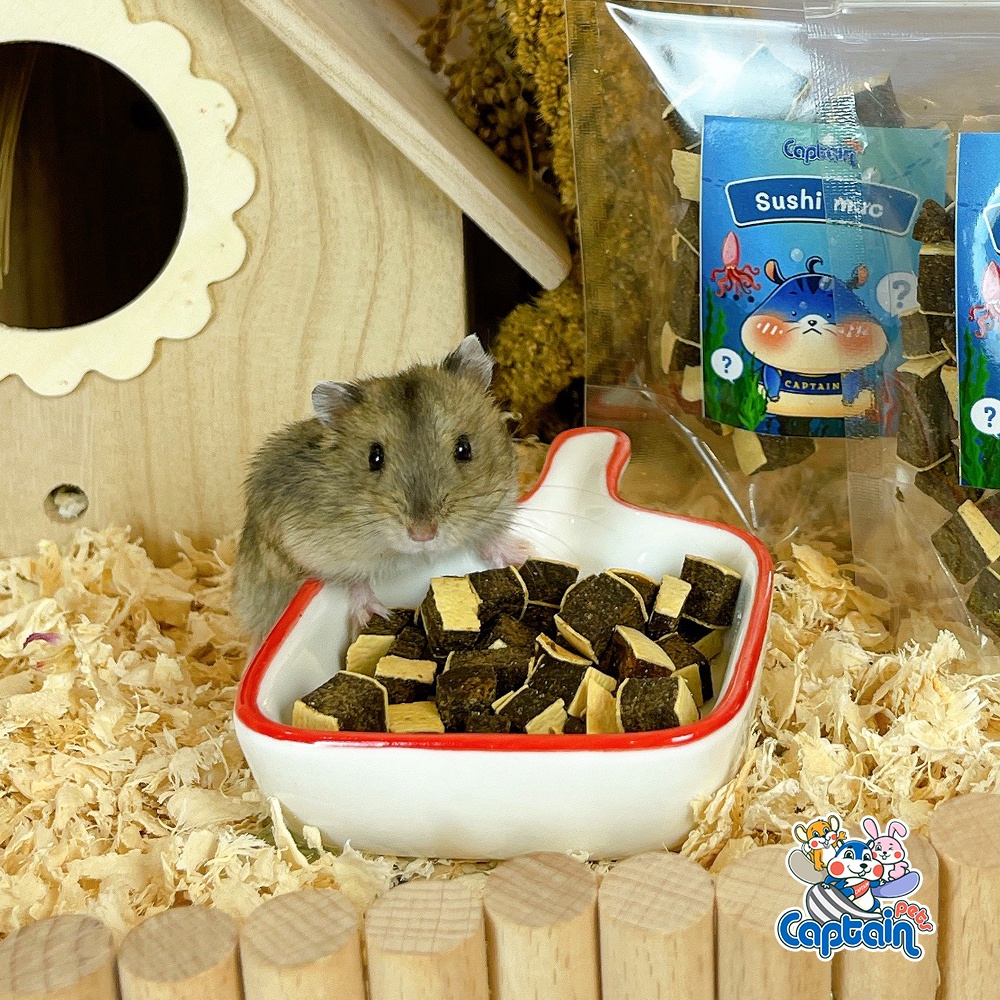 Đồ Ăn Vặt Cho Hamster - Sushi cuộn