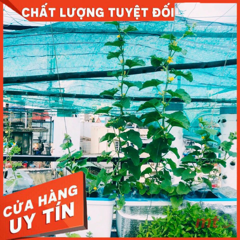 Thùng Thủy Canh Tĩnh Trồng Cây Ăn Quả