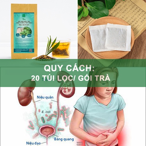 Trà viêm đường tiết niệu lợi tiểu ngừa tiểu đêm mát gan bổ thận hỗ trợ sinh lý