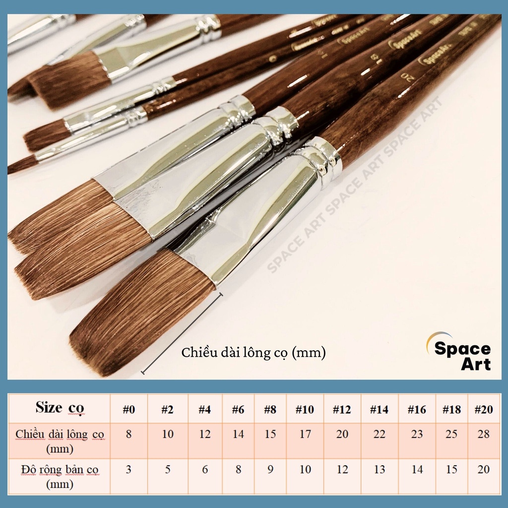 Cọ vẽ Bản ngang lông chồn Taipei SP102 vẽ màu nước,acrylic, màu bột