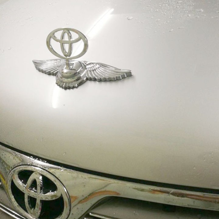 Logo Cánh Chim Thiên Thần Gắn Mui ( Nắp Capo) Xe Ô Tô Toyota