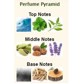 [CHÍNH HÃNG] Nước hoa Nautica Voyage N83 EDT 100ml người nhà US gửi về seal NEW CHÍNH HÃNG, chuẩn Auth. | BigBuy360 - bigbuy360.vn