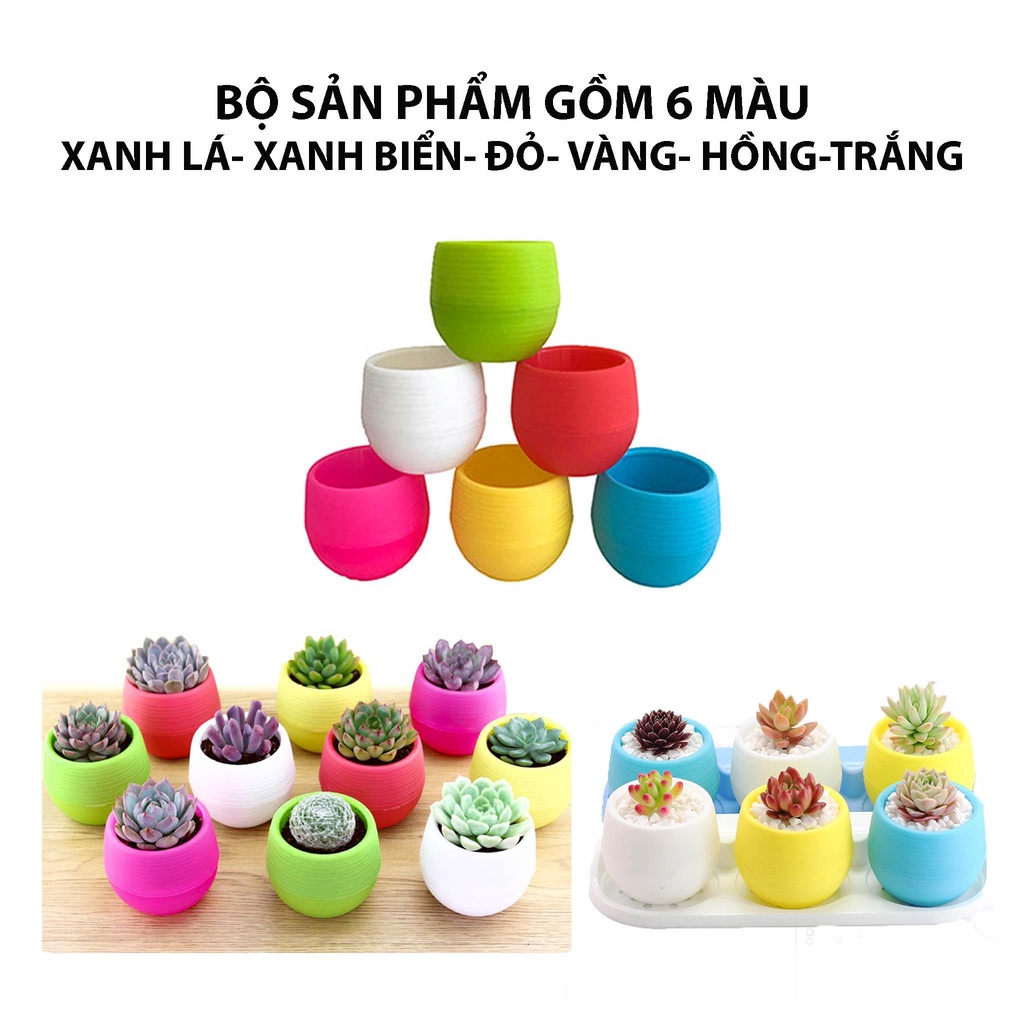 Chậu trồng cây sen đá mini có đáy trữ nước - Trồng sen đá, xương rồng tuyệt đẹp - Chưa bao gồm cây