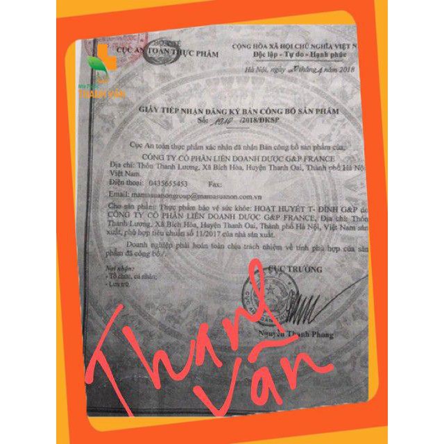 Hoạt Huyết Tiền Đình G&P