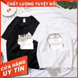 Áo phông hình Ami béo hot trend mã AMI1
