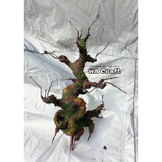 Gốc bonsai, thân cây bonsai Mẫu tử 25cm,làm hoa mai đào,hoa Handmade trang trí nhà cửa