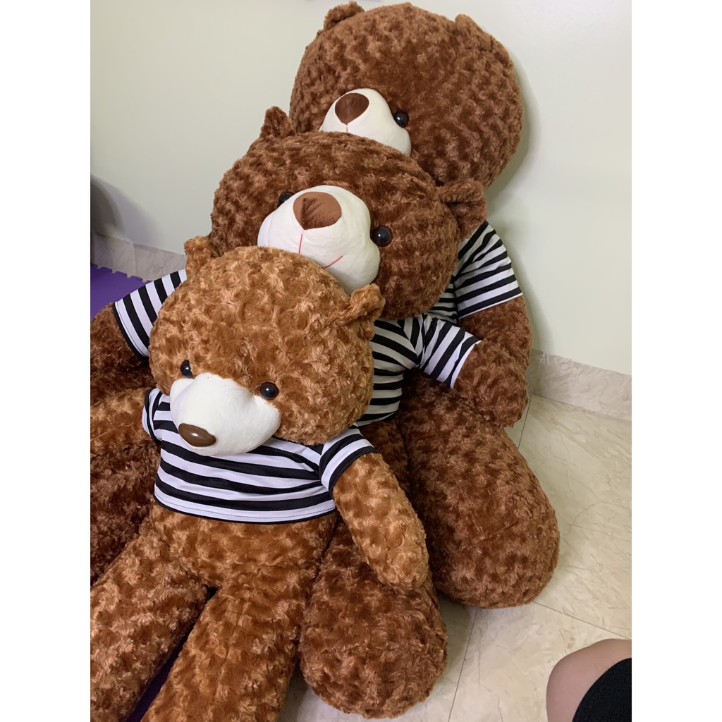 Gối Ôm Gấu Bông- gối Bông hình Teddy Nâu Bự Khổng Lồ🐨 Siêu Đáng Yêu 🐨0,95m-1m1-1m3 -VN12