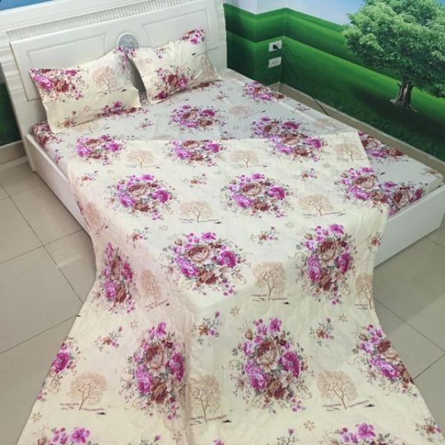 ( SHOPEE SALE) BỘ GA GỐI 3 MÓN 1M6 CẬU BÉ BÚT CHÌ M6483