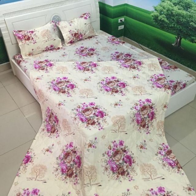 ( SHOPEE SALE) BỘ GA GỐI 3 MÓN 1M6 CẬU BÉ BÚT CHÌ M6483