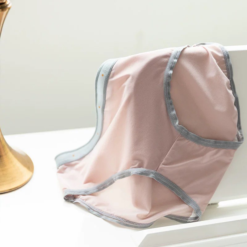 Quần Lót Băng Lụa Kháng Khuẩn Siêu Mỏng Mịn Daisy P285