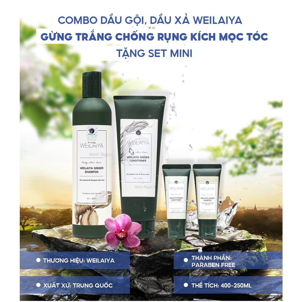 Combo dầu gội, xả gừng trắng WEILAIYA GINGER chống rụng kích mọc tóc 400ml + 250ml tặng set mini 20ml