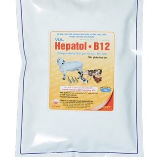 Hepatol + B12 Giải đôc gan,thận nhanh chóng