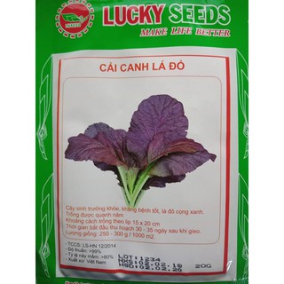 Hạt giống rau cải canh lá đỏ - 1 gói  20gram