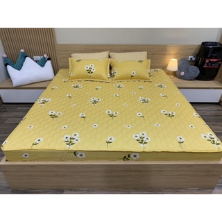 ga gối cotton poly chun trần bông