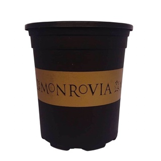 Combo 10 chậu monrovia việt nam 2gl đen 23x22cm