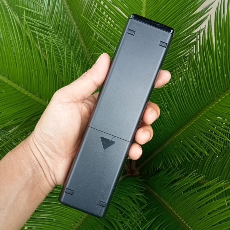 Remote điều khiển tivi Casper L1