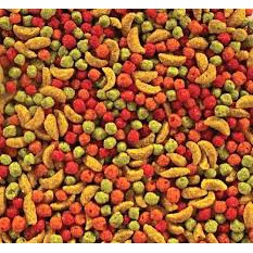 Hạt trái cây cho Cockatiel và vẹt size trung (M) gói 907g