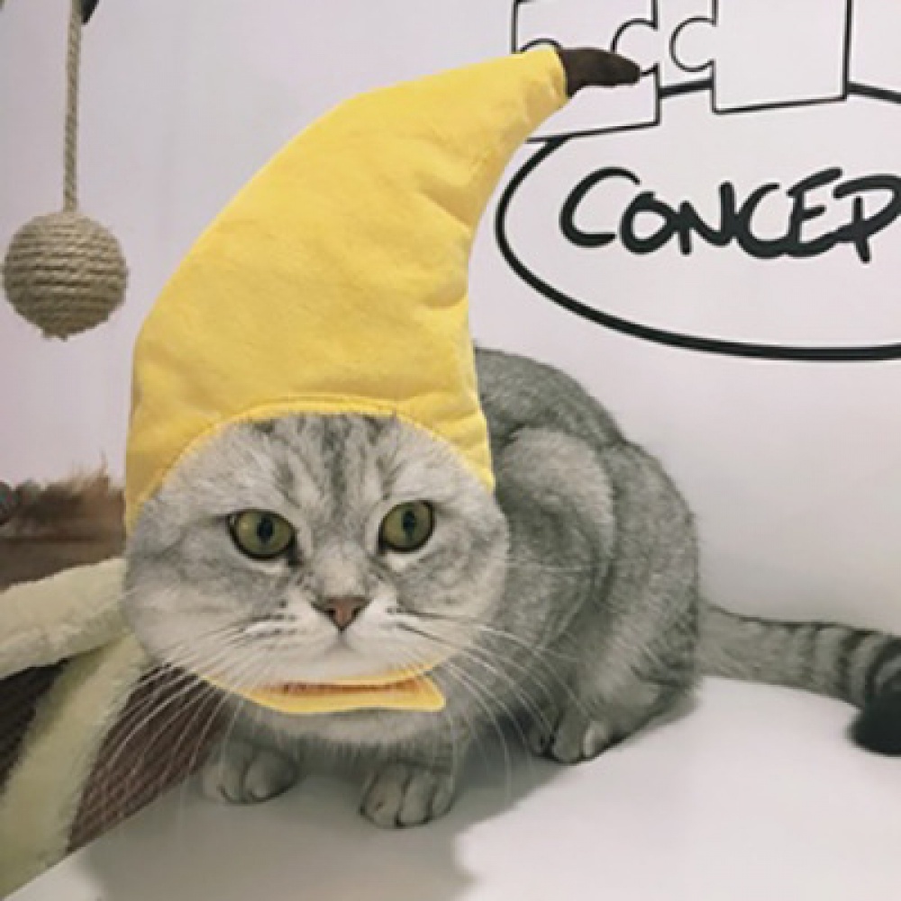 Mũ hóa trang dịp Halloween dễ thương để đội cho thú cưng