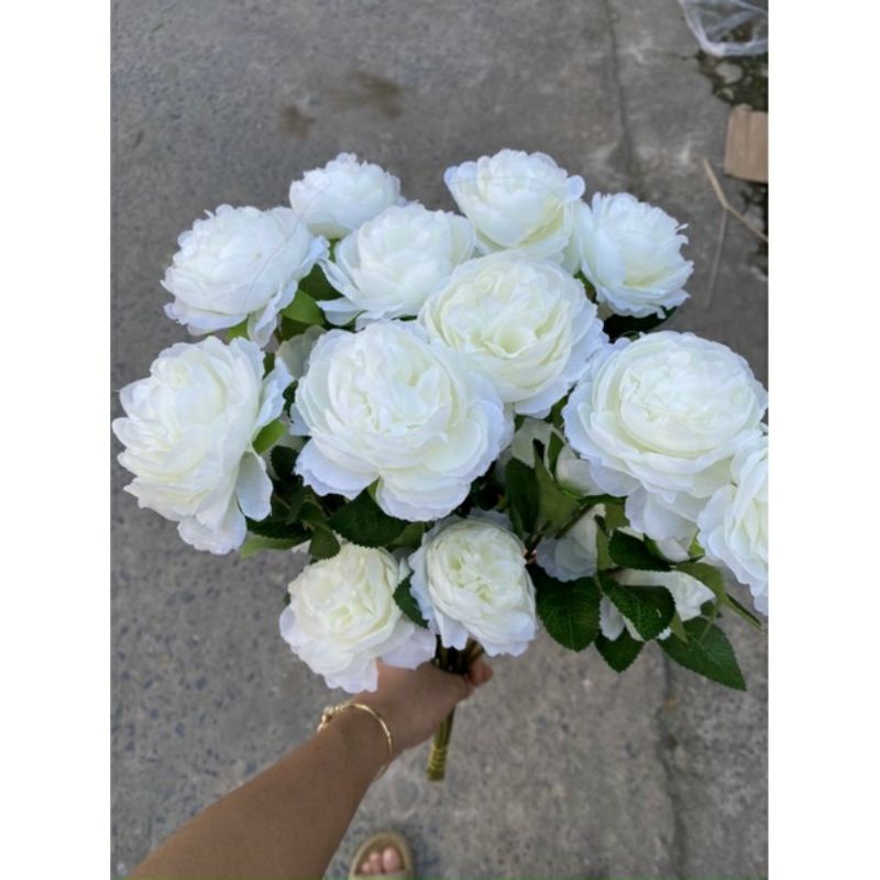 cành trà 2 bông 1 nụ