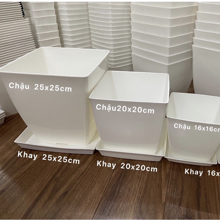 Chậu nhựa vuông trồng cây văn phòng đủ size từ 9 - 25cm kèm đĩa