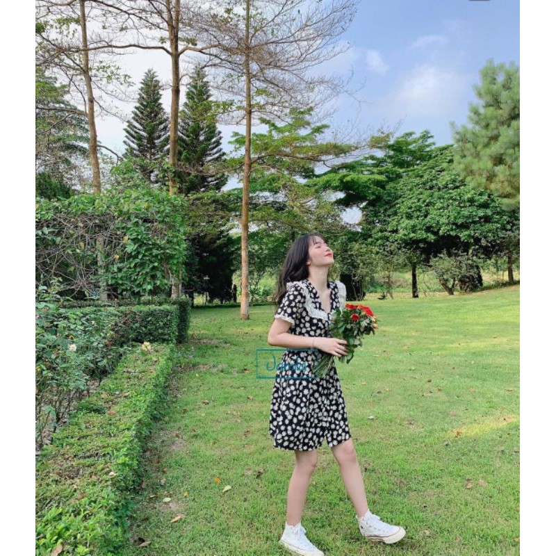 Đầm suông hoa cúc họa mi cổ viền bèo siêu xinh siêu hot