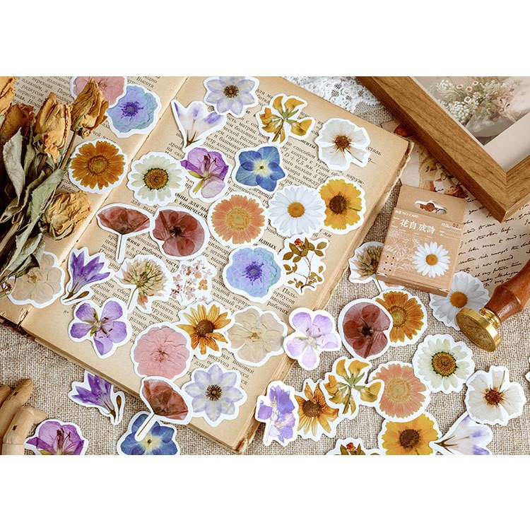Hộp 46 miếng sticker mẫu hoa cúc trắng