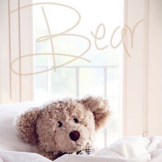 Gấu bông Teddy mặc đồ hàng Hàn Quốc 25-30cm