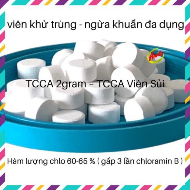 Viên khử trùng đa năng, ngừa khuẩn làm sạch nước hồ bơi, mùi hôi dạng viên sủi 2g .