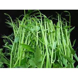 Hạt_Giống_Rau_Muống_Siêu_Ngọn