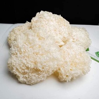 Nấm tuyết trắng 50gram
