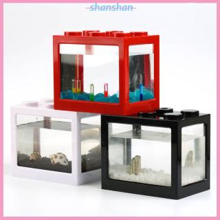 Bể cá mini trang trí hồ cá độc đáo