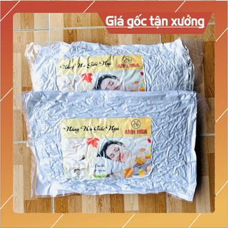 Combo 2 Ruột Gối Hơi 40x60cm