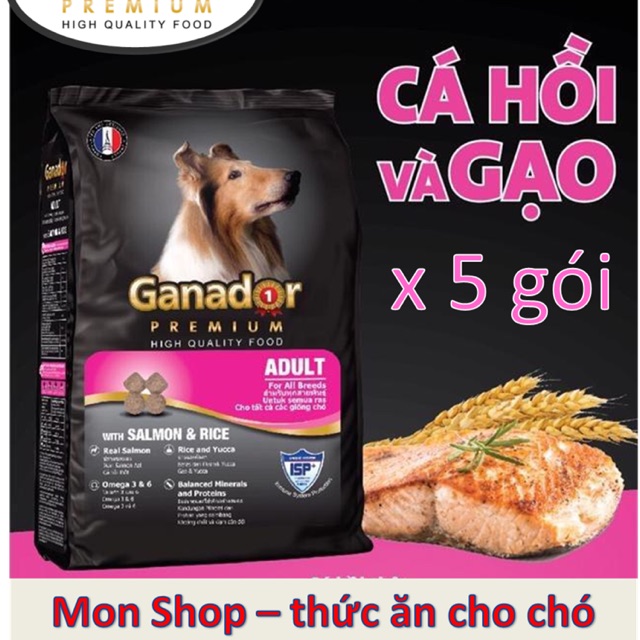 (5 gói) Hạt thức ăn ganador cá hồi cho chó trưởng thành