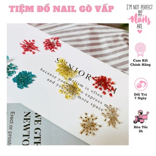 Hoa Khô Chùm Ẩn Gel