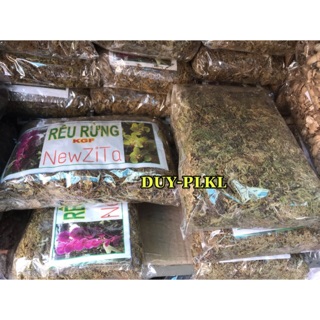 Giá thể trồng lan - Rêu rừng - túi khoảng 150gr. rêu rừng giữ ẩm. Vật dụng trồng lan.rêu rừng trồng lan.