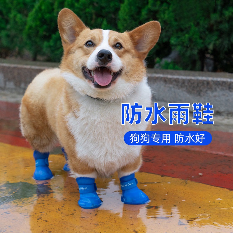 Giày Boot ChốNg NướC ChốNg BụI Cho Thú Cưng Teddy corgi - Size Vừa0729