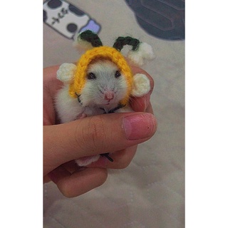 Nón/ Mũ len hamster/ sóc/ chó/ mèo -# Hamster Yêu