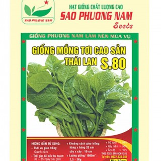 HẠT GIỐNG MỒNG TƠI LÁ TRẦU SAO PHƯƠNG NAM