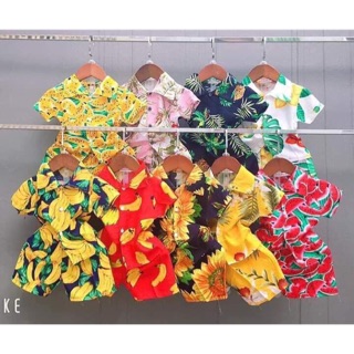 Combo 40 bộ trái cây