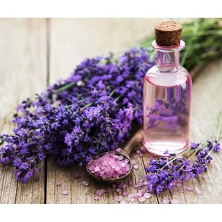 tình dầu oải hương lavender