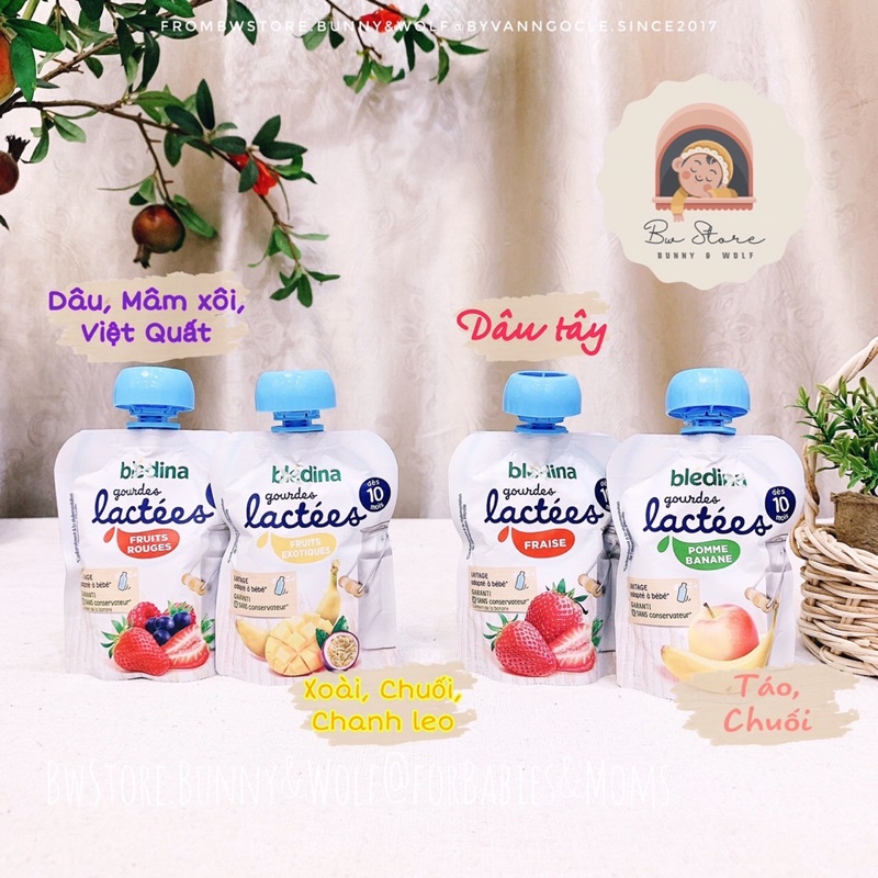 Sữa Chua Hoa Quả Bledina Gourdes Lactees Pháp cho bé từ 10m+ - Túi 85g