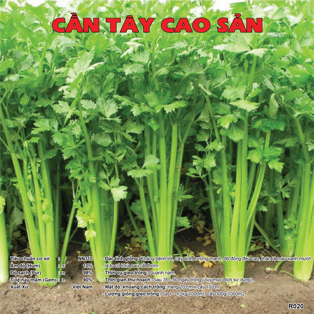 Hạt Giống Rau Các Loại Theo Mùa Cây Khoẻ Mạnh Hạt Nẩy Mầm Tốt Trọng Lượng Từ 5 Gram - 50 Gram